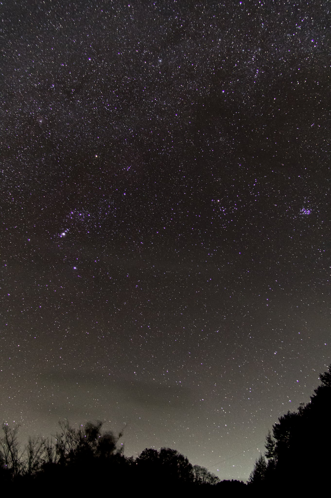 煌く冬の星々_試写（高感度耐性Ⅰ）