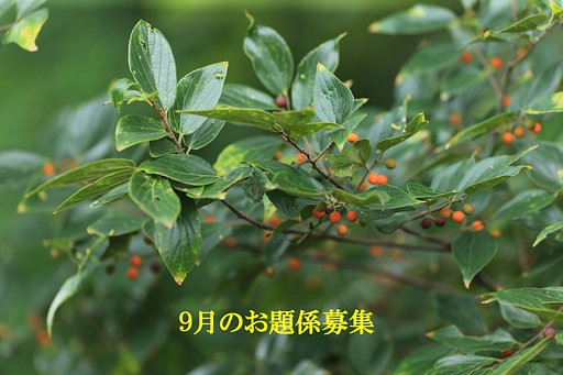 9月のお題係募集
