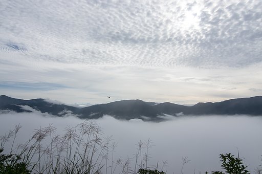 雲上の初秋