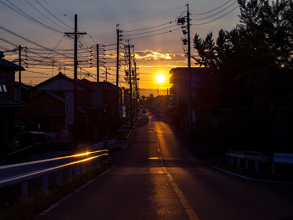 【夏】光の道