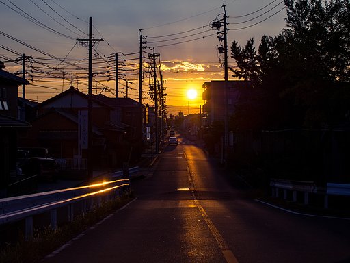【夏】光の道