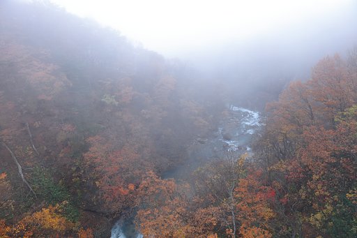 森の大橋2