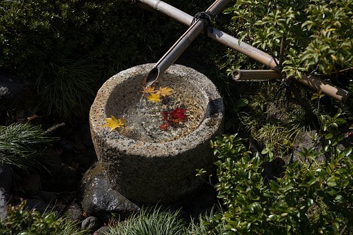 紅葉 初撮り