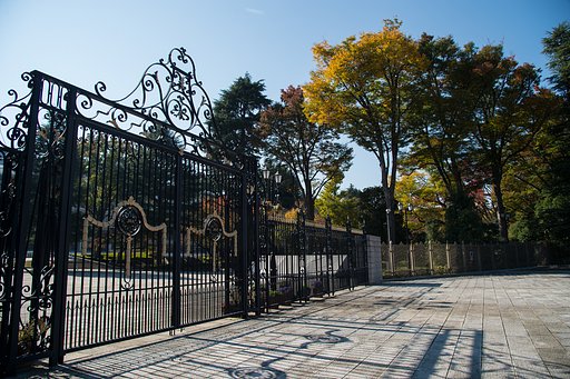 競馬場の紅葉２