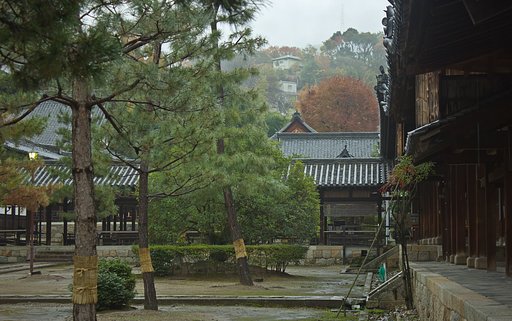 【横顔】 雨の境内、紅葉の頃
