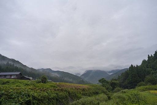 雨降り1
