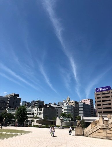 【盛夏】カンカン照り