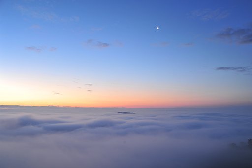 3月17日の写真