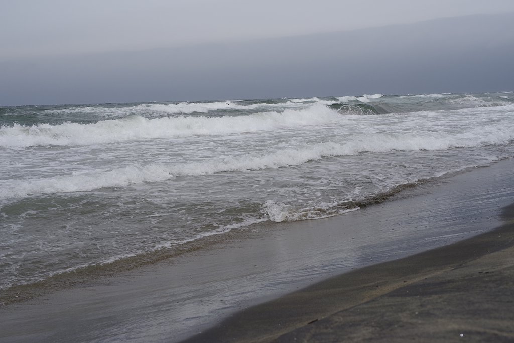 HD PENTAX-D FA★50mmF1.4 SDM AW　海