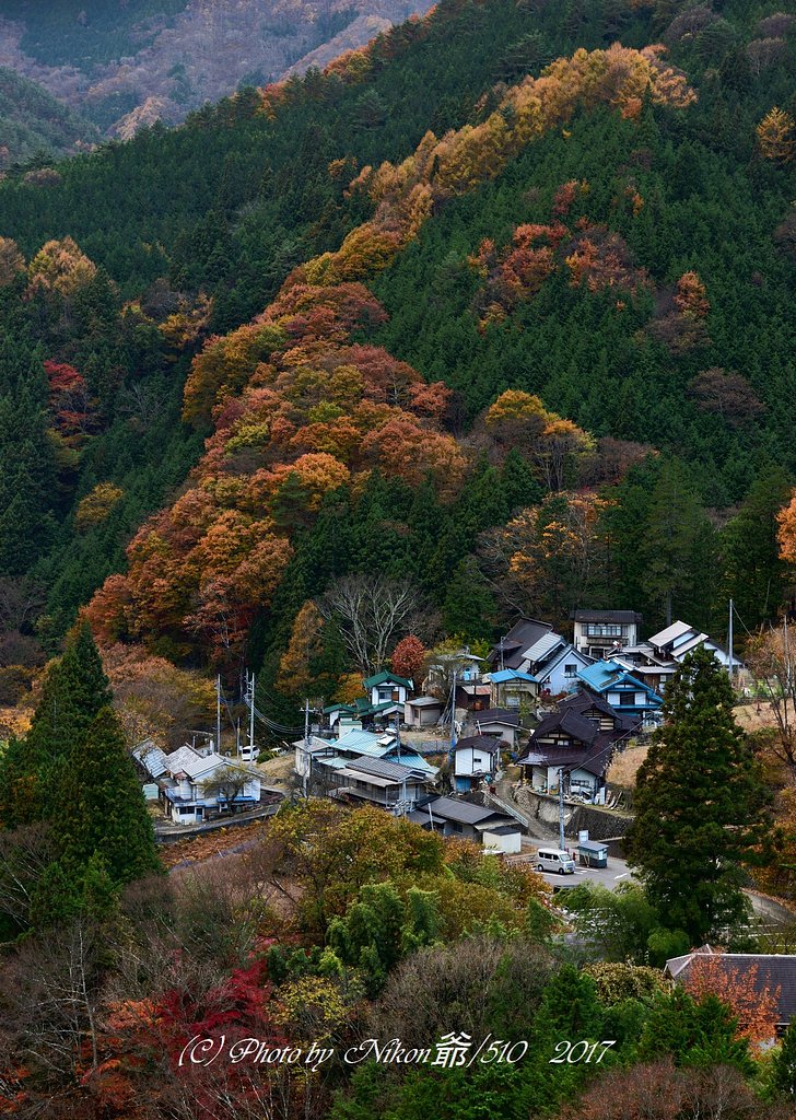 紅葉集落