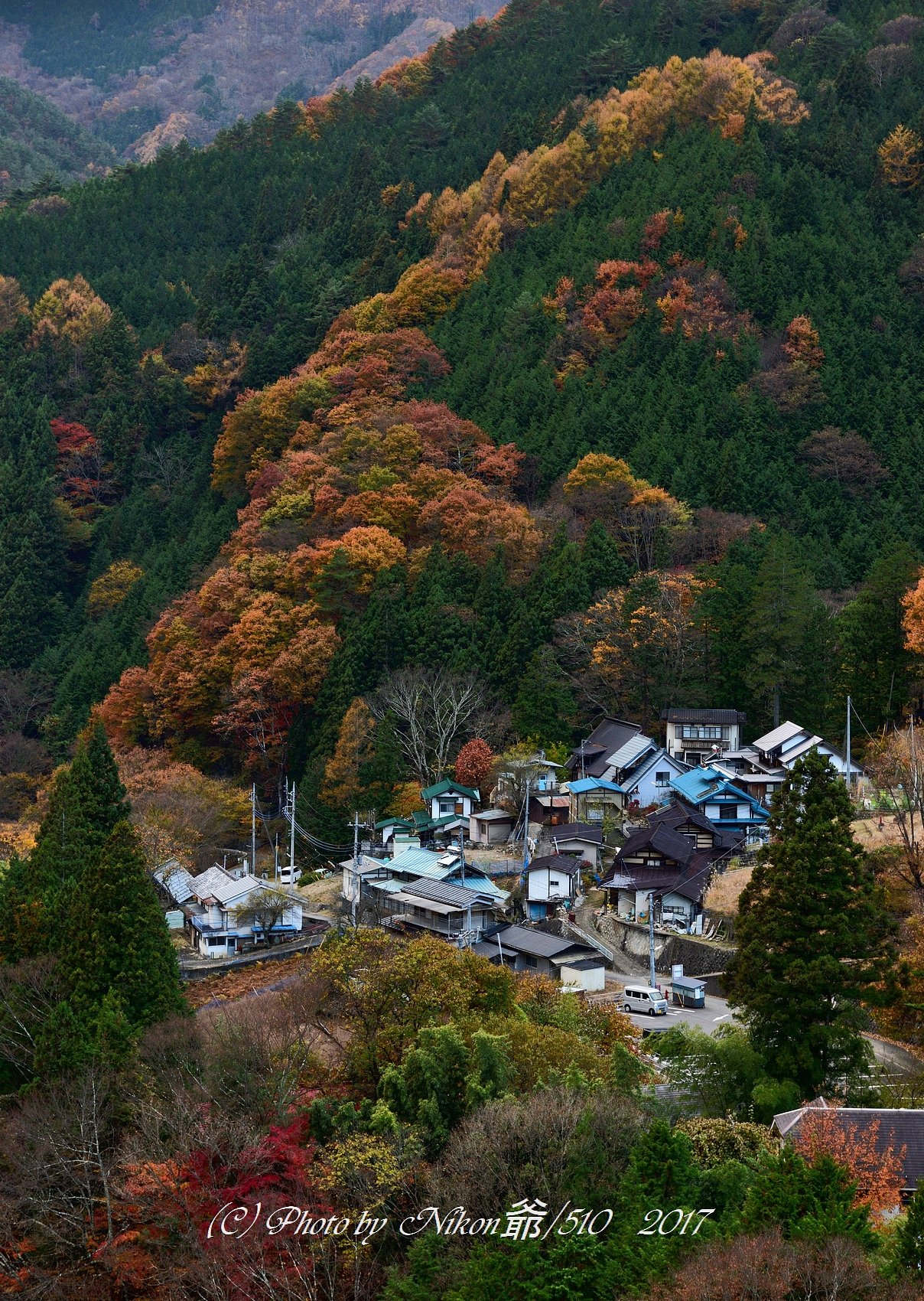 紅葉集落