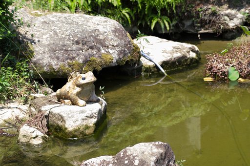 池のふち