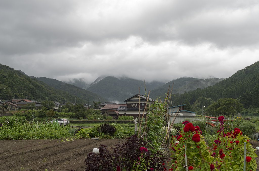 雨降り