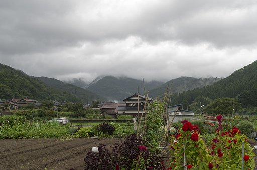 雨降り