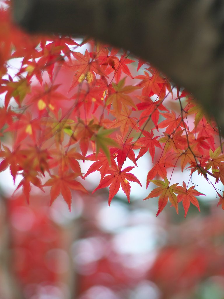 真福寺3