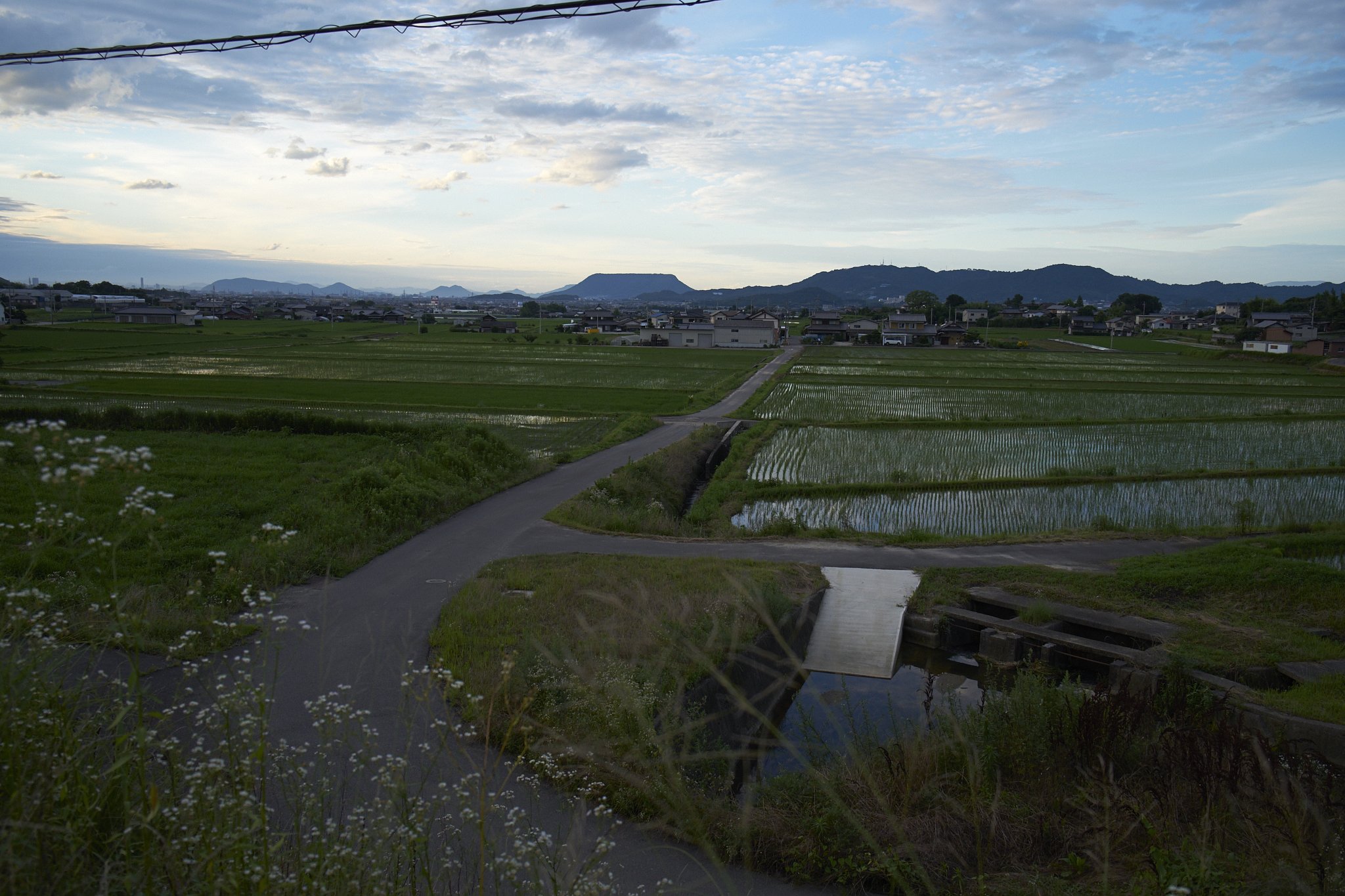 溜池散歩