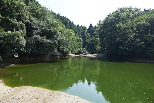 溜池散歩