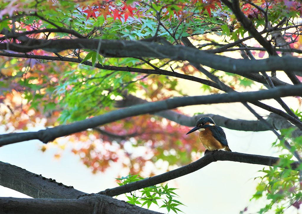 東公園にて3