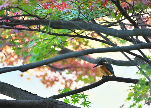 東公園にて3