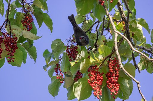 食欲の秋