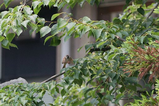 着陸寸前