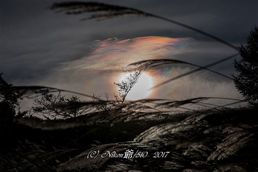 晩夏/そして秋
