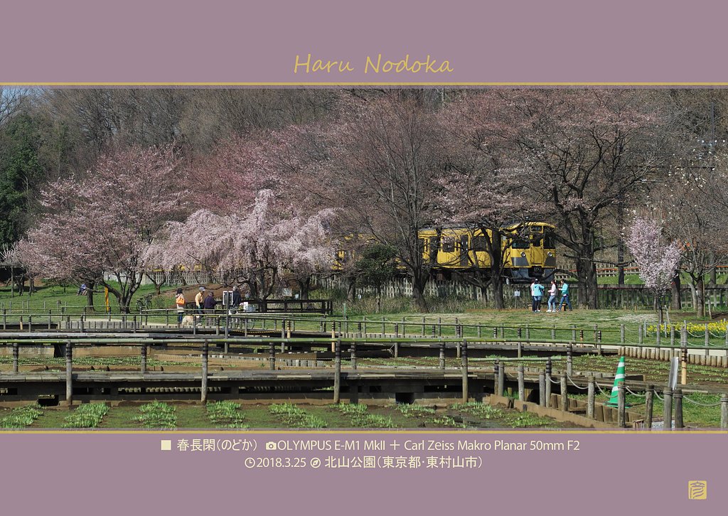 春長閑(のどか)