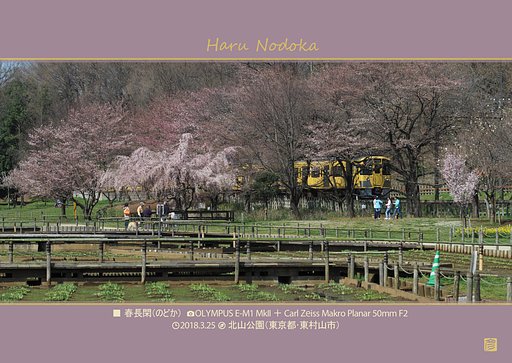 春長閑(のどか)