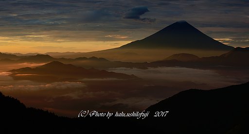 雲海も色付くんです