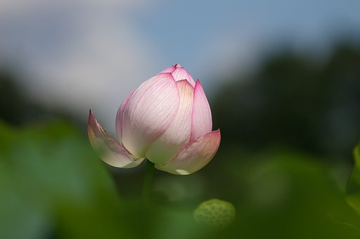 ふんわり
