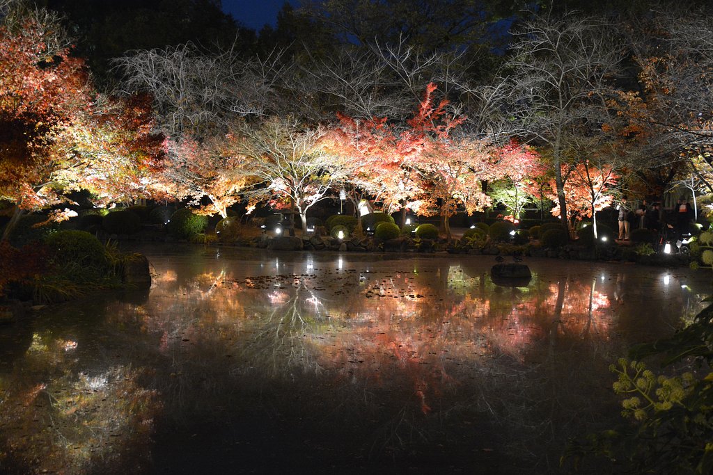 京都東寺