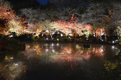 京都東寺