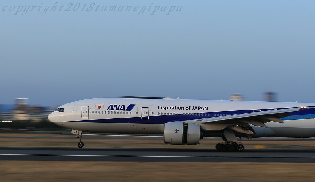 ＡＮＡ