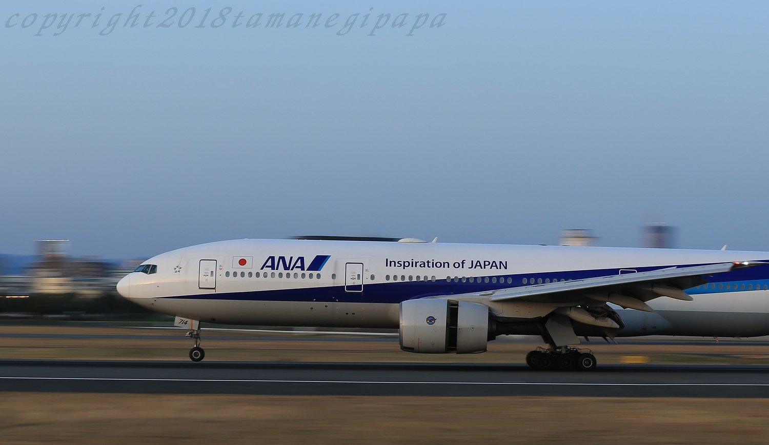 ＡＮＡ