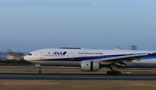 ＡＮＡ