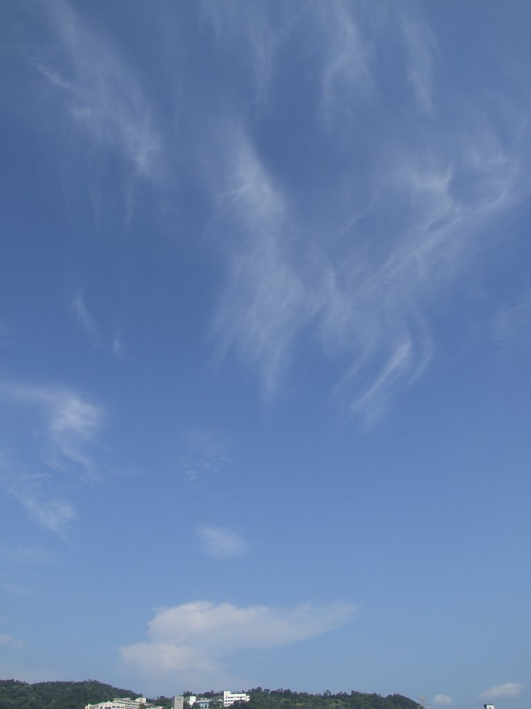 夏空（衰退する積乱雲）