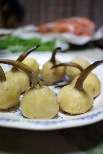 クワイ川マーチ