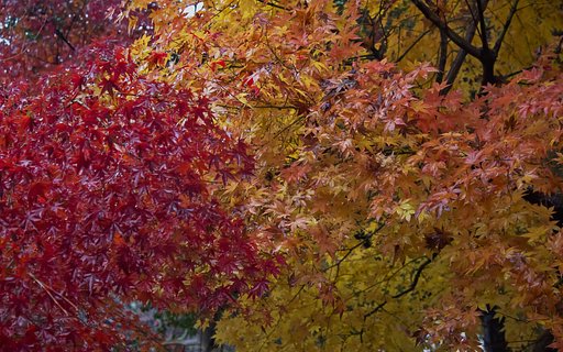 11月26日の写真