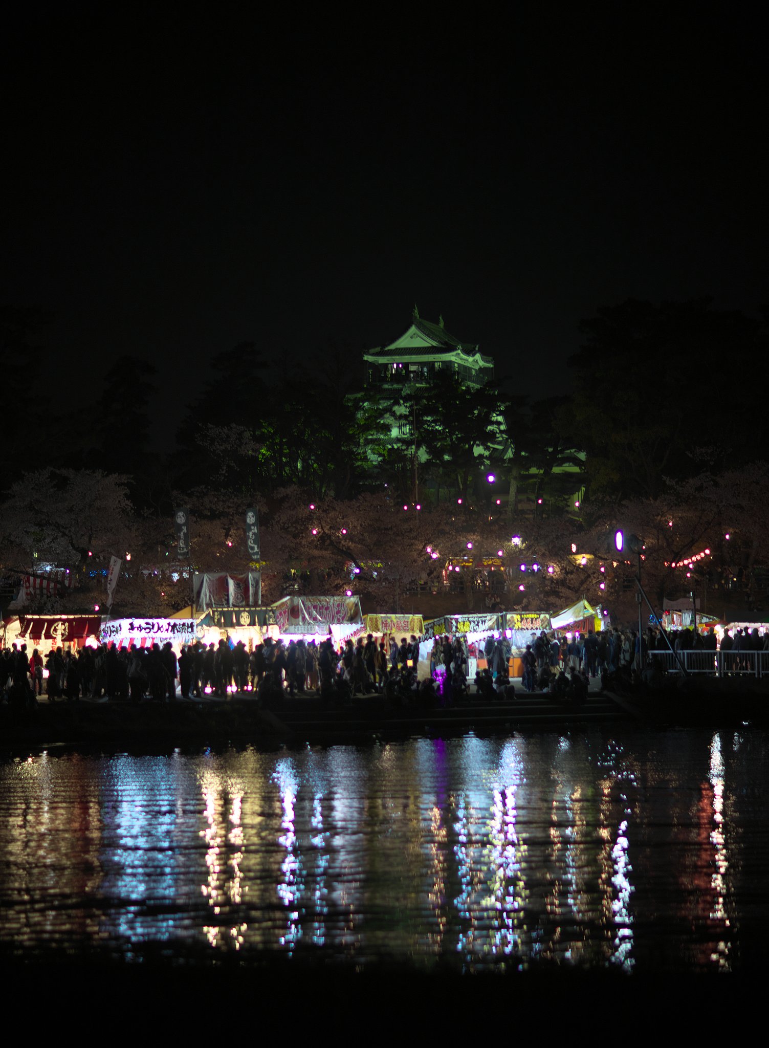 夜桜考