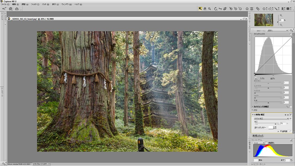 ニコンキャプチャーNXの画面