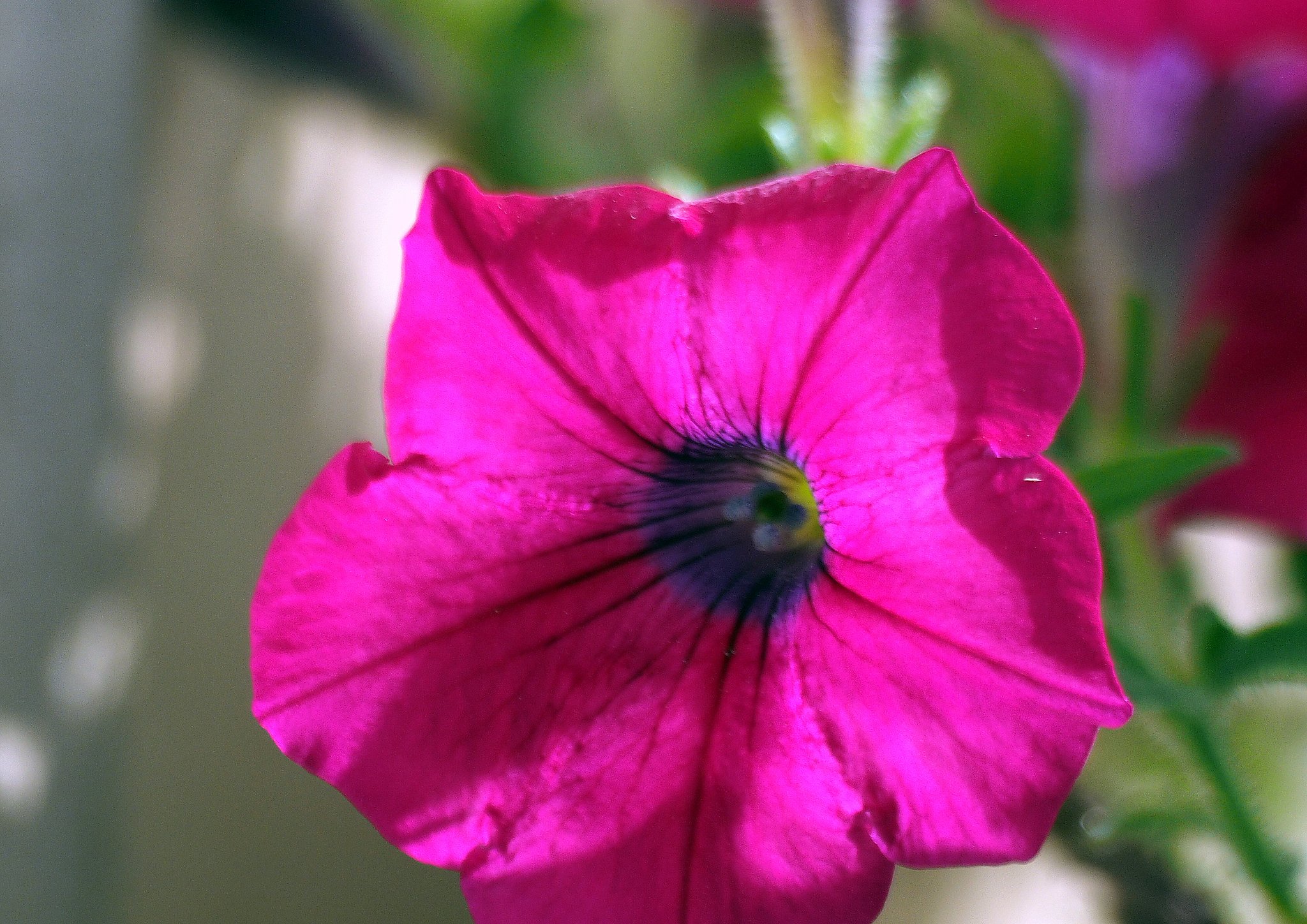 ZD 70-300mmF4-5.6