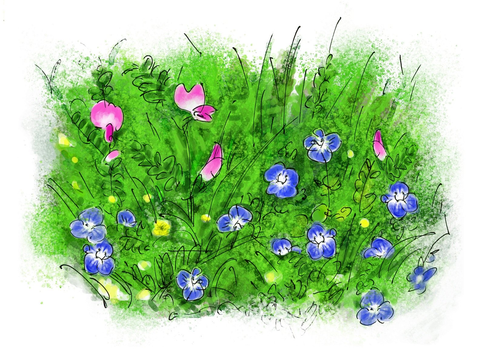 野の花【桜花】下草スケッチ