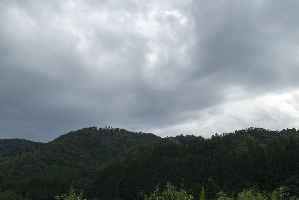 雨の前触れ