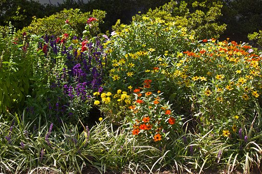 理想の花壇