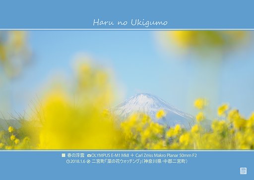 春の浮き雲