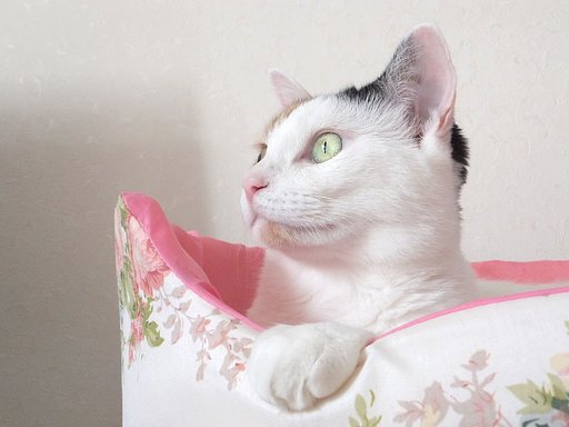 【横顔】興味津々