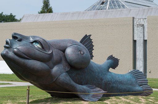 人面魚