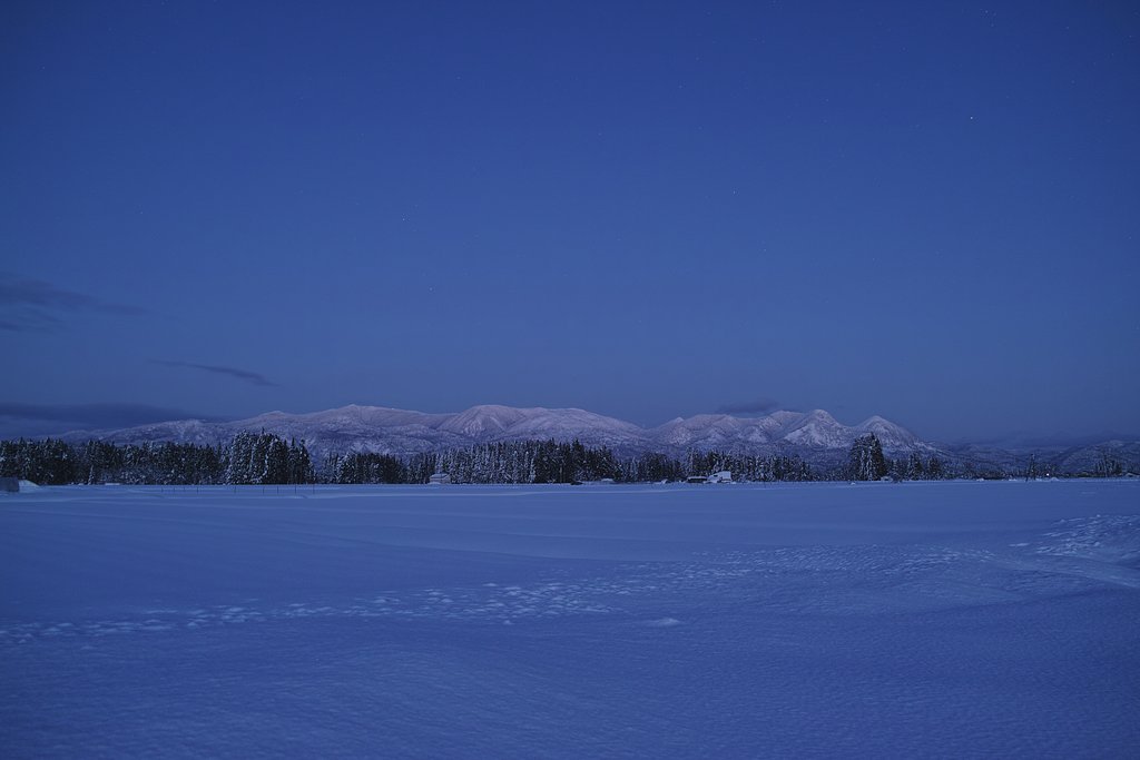 雪原