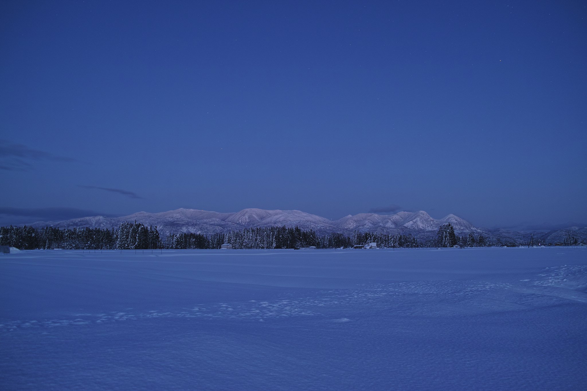 雪原