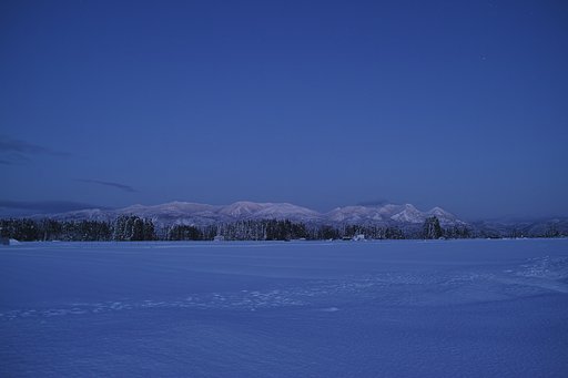 雪原